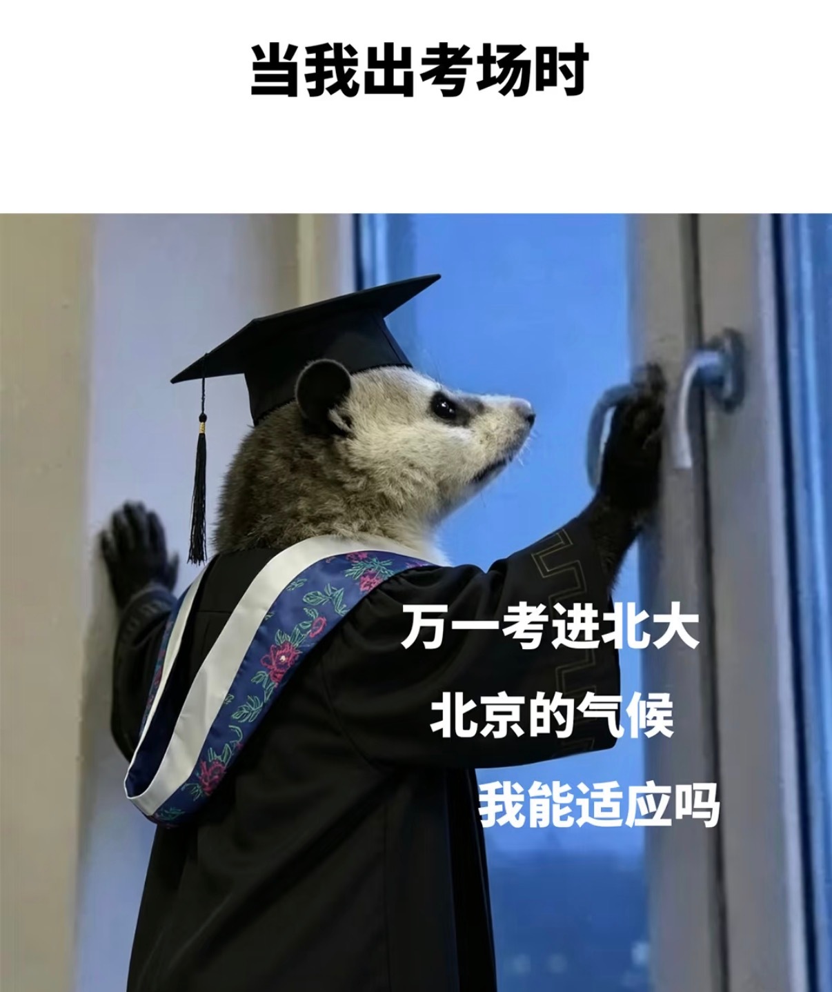 这是不是高考后的你告别堆积的试卷和紧张作息，抛开所有压力，追剧闲逛和好友相聚，把