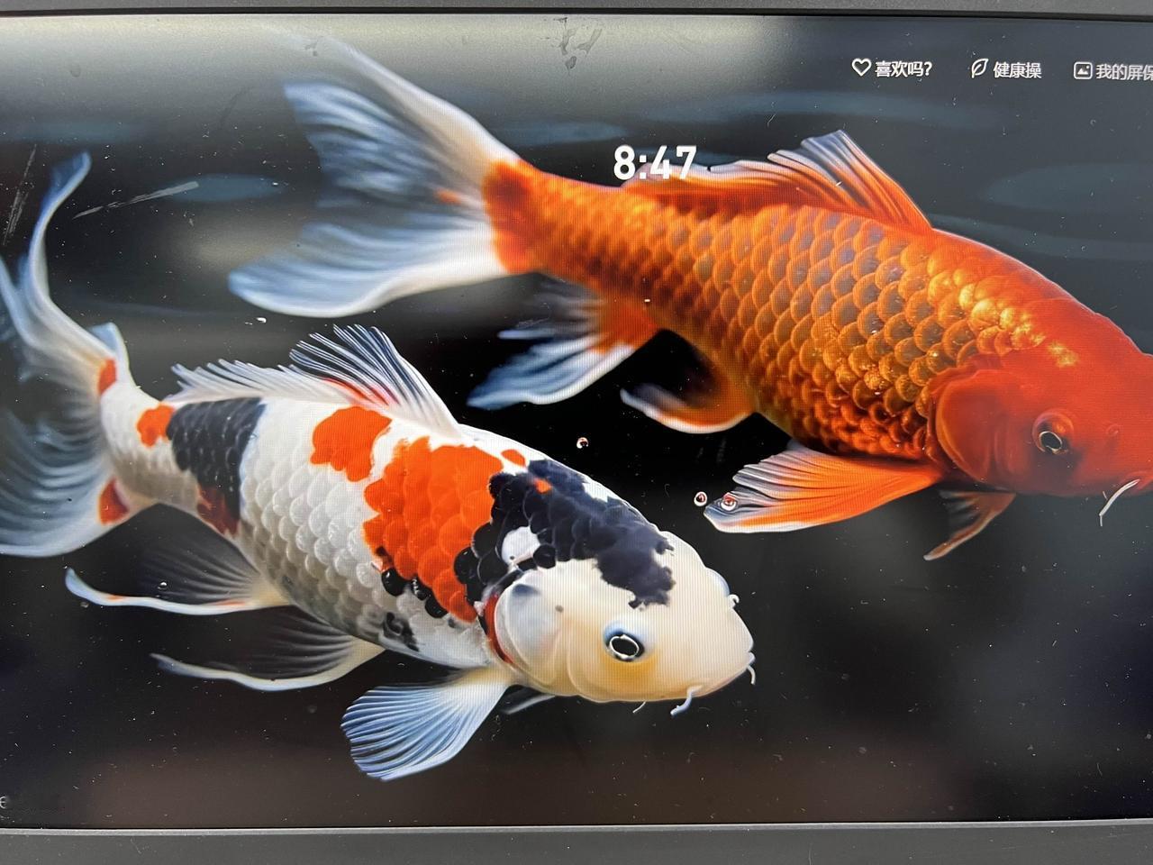 我们普通老百姓永远不要在一个熟悉的地方一直消费，因为有一句话叫杀熟，某些人总以为