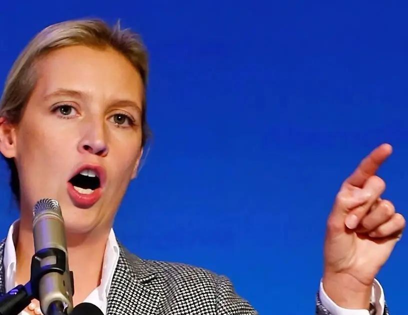 特朗普支持魏德尔
《每日镜报》报道，德国政府有人将魏德尔领导的德国选择党归为极右