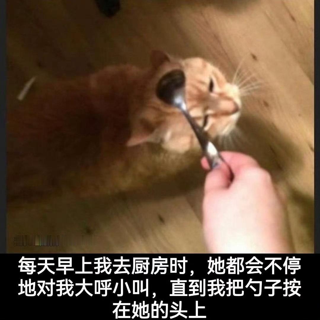 好东西 