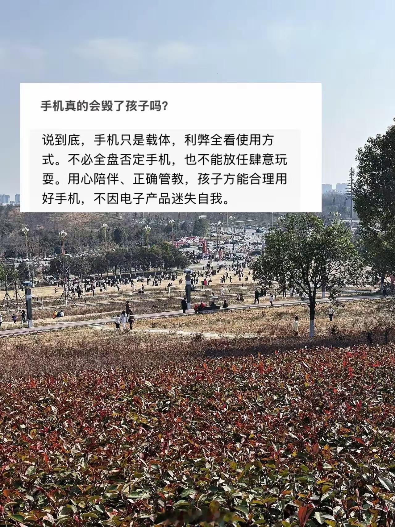 手机真的会毁了孩子吗 