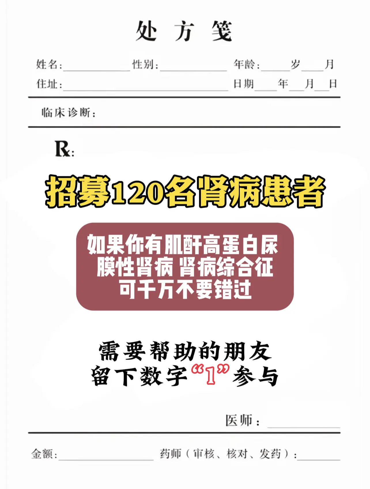 肾病 中医