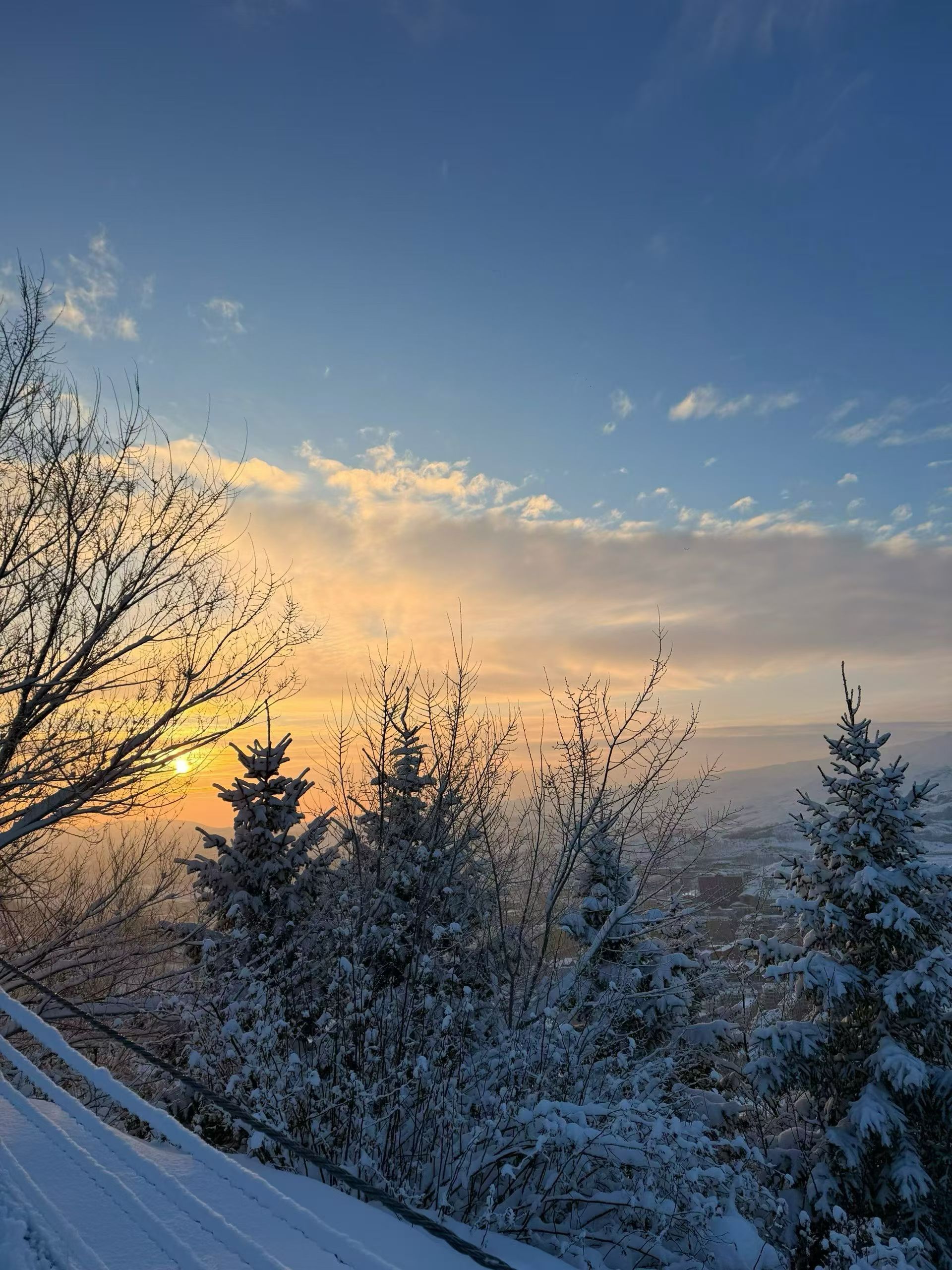 幸福不在远方，就在晨起的一杯热茶里，在认真度过的每一天里。知足常乐，便是最好的生