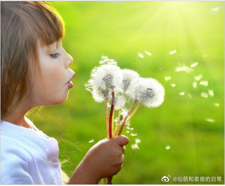 水逆退散  公益救援在行动巨蟹座爱一个人总有一个固定的过程，开始表现得很热烈，往