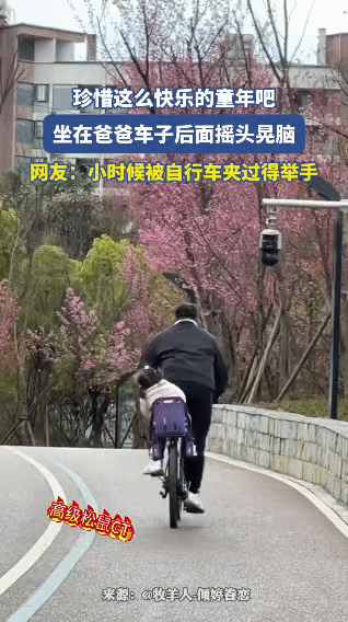 爸爸骑着自行车载着孩子缓缓前行，孩子坐在后座摇头晃脑，小身子随着车轮的滚动轻轻晃