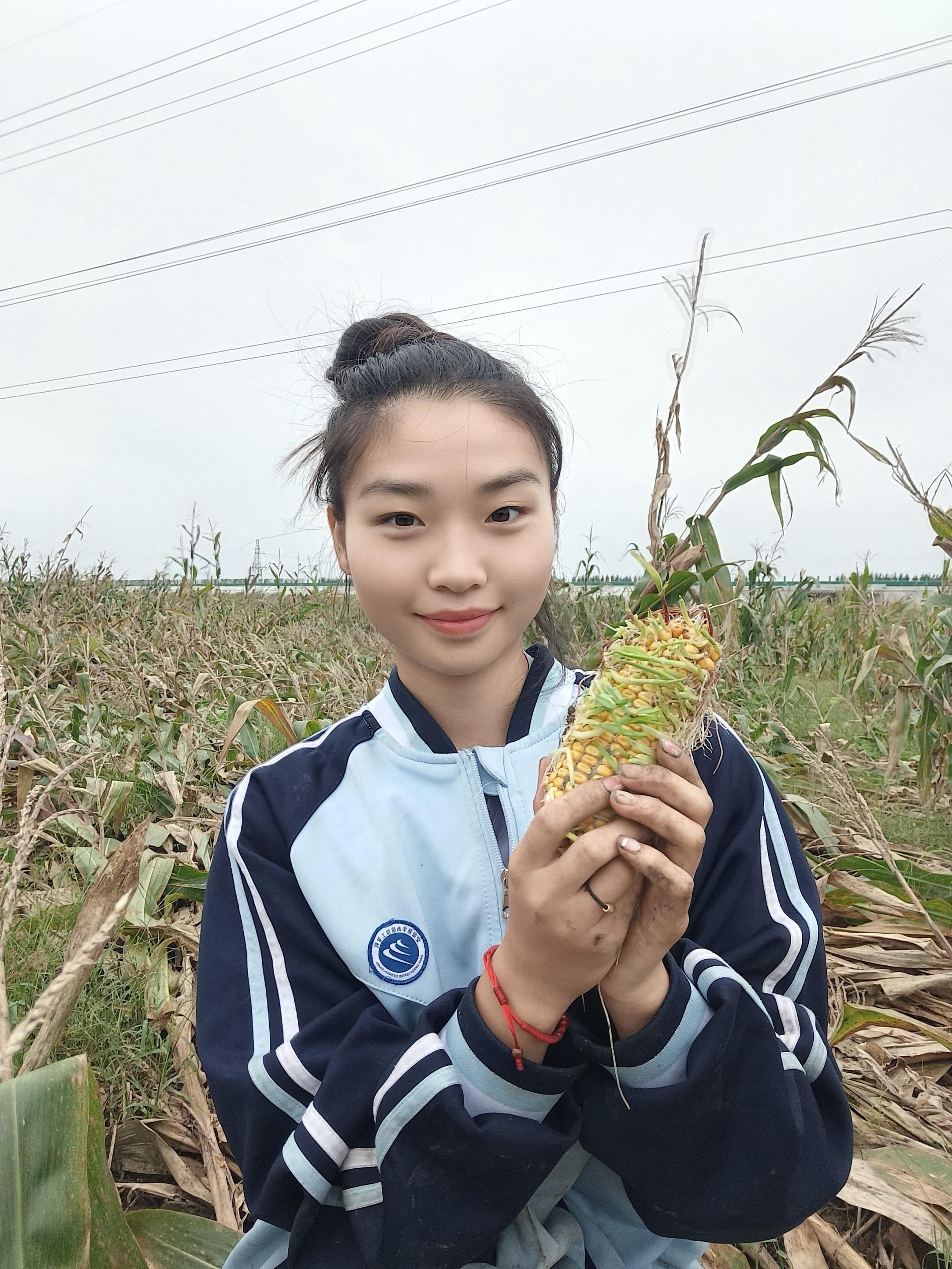 我的妈呀 明年少种是你的谎言 这样别说女婿害怕 闺女都想离家出走了