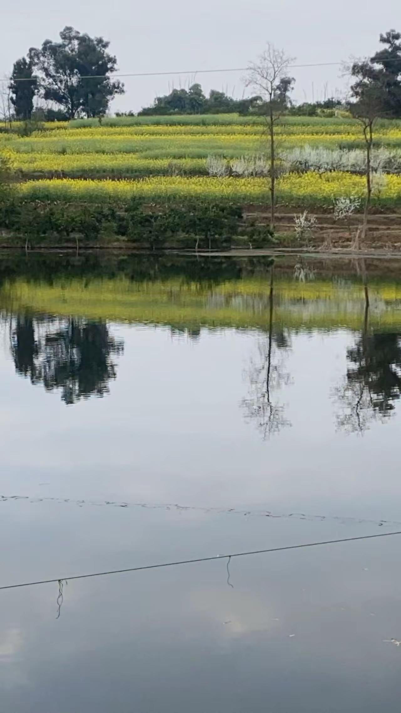 山美水美家乡美