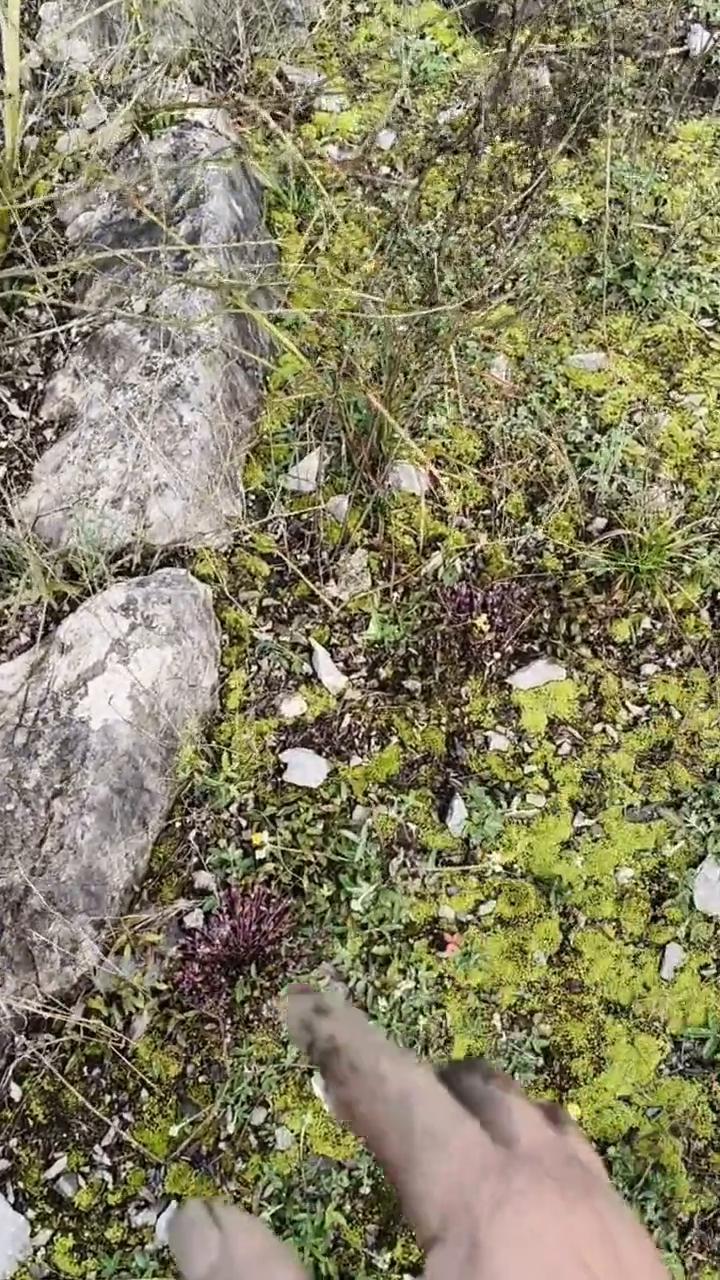 资阳和老乡，你看了，我来做个家伙了。过三样，有三种金贵的牛仔。今天老牛，将来要教