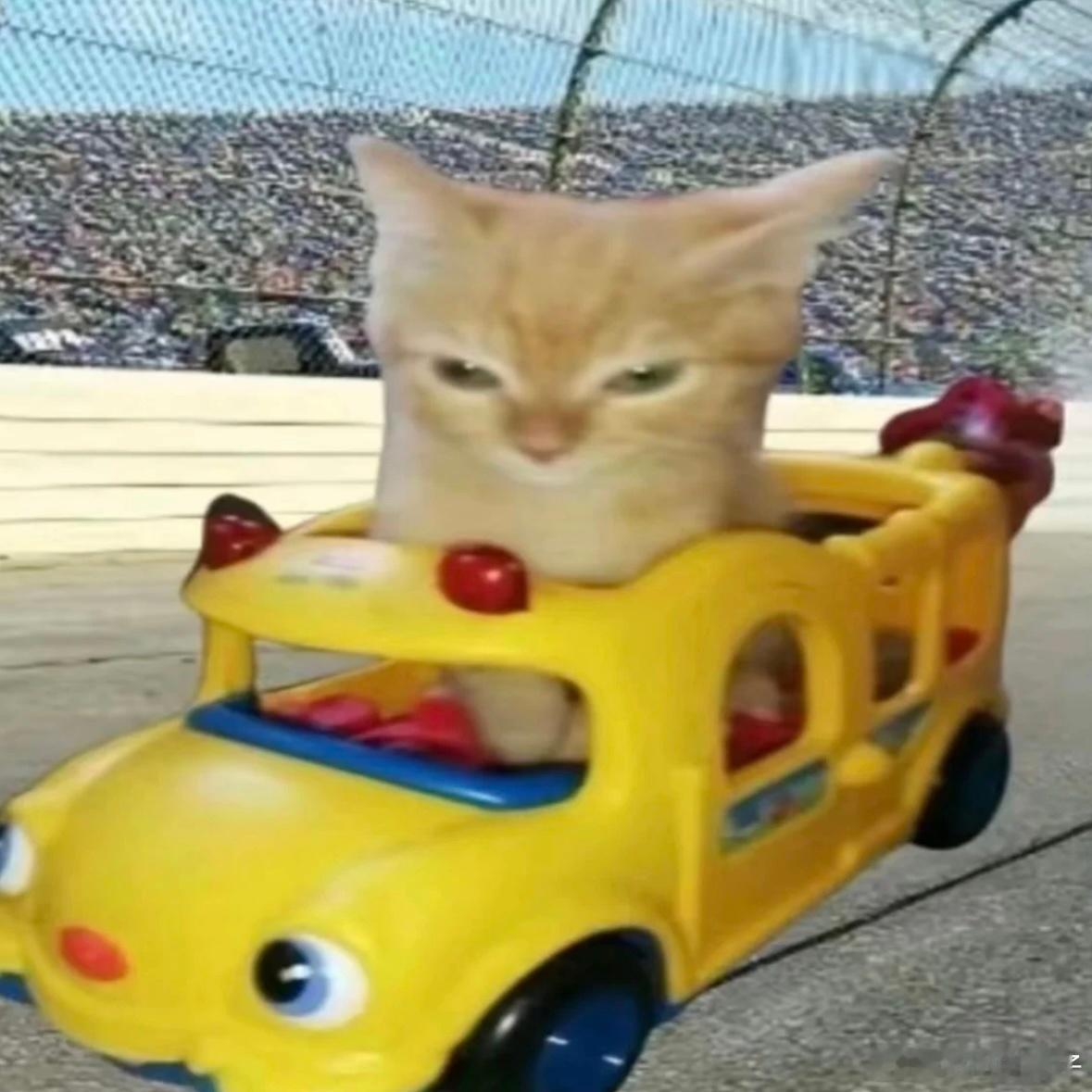 飘飘～～～ ​​​