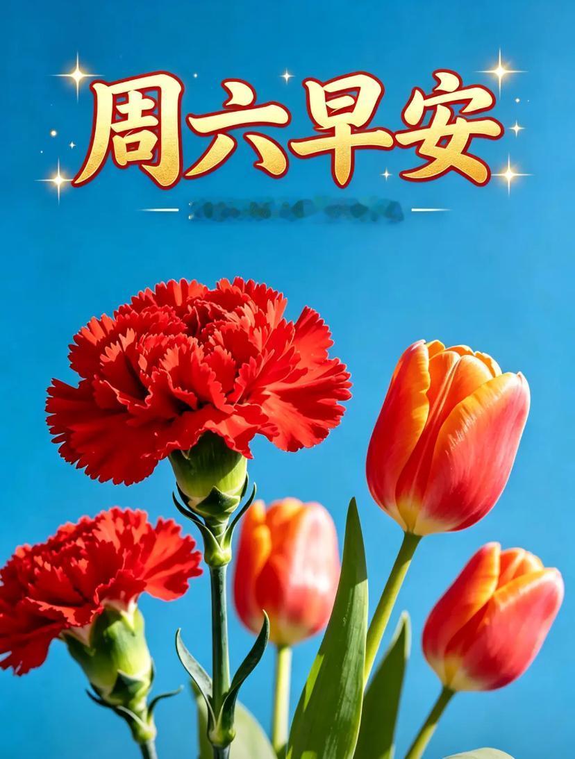 🌺☘️5./30.晴光铺万里.喜乐伴朝夕🌺


🌻清风拂浅夏，晴光照尘寰，