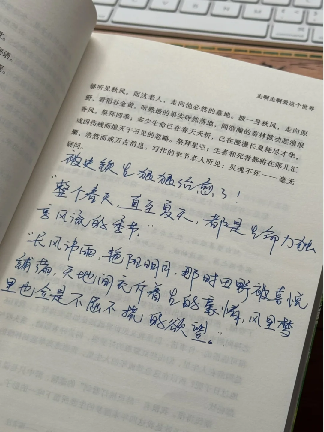 被史铁生狠狠地治愈了……