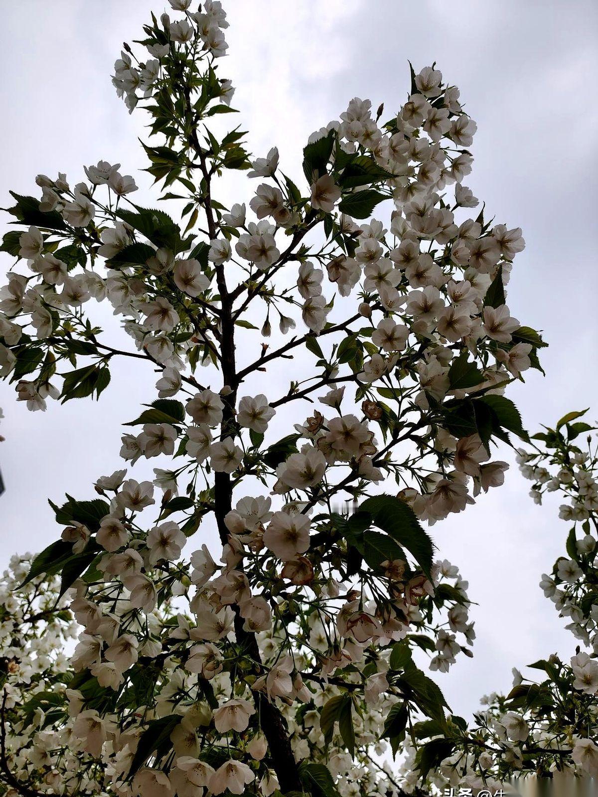 大学里这位教“某某概论”的教授，点名点得全班面面相觑。
讲台上，他推了推眼镜，盯