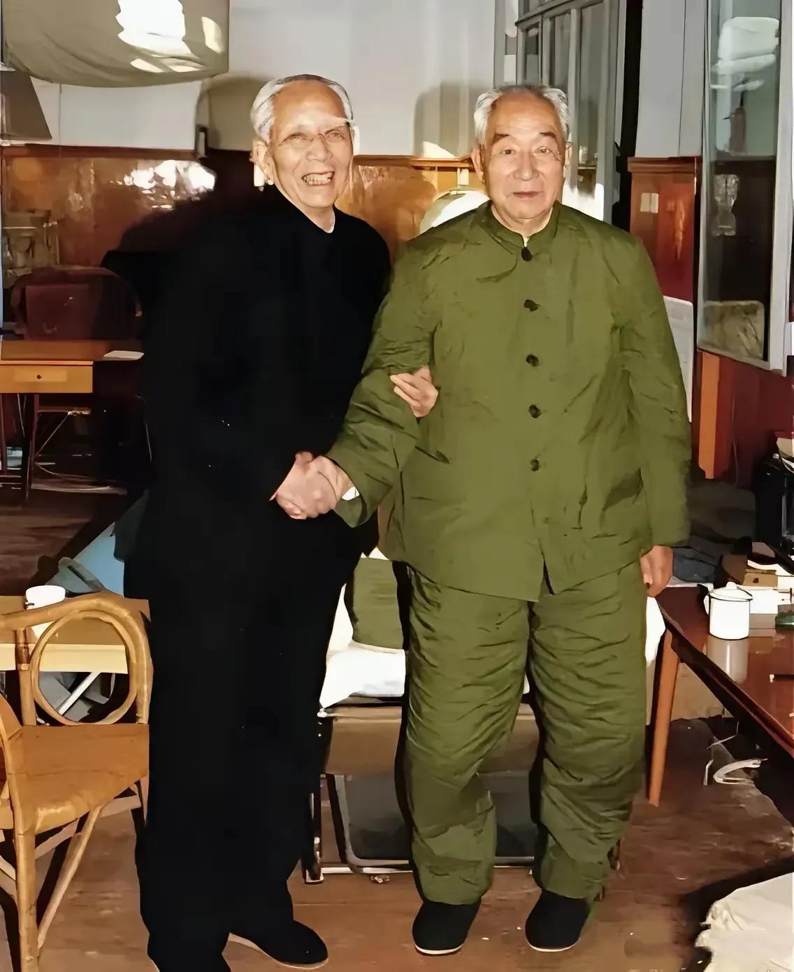 这张照片应该有很多人都认识，这是开国上将王震和徐向前将军的合影留年。
1990年