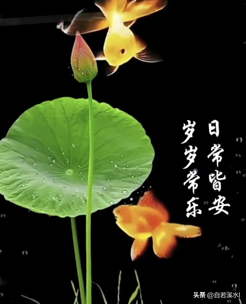 万物皆有晨光，而我满心只有你。