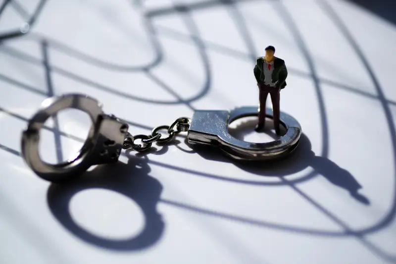 总之还是一句话，莫伸手，伸手必被抓。这不是他们以为逃出国就没事的。

而且对于这