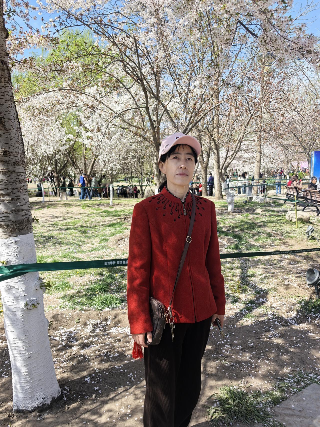 老伴中午做清蒸鱼，特意把鱼头留给我吃。你别说，老伴做出来的清蒸鱼，味道真是鲜美。