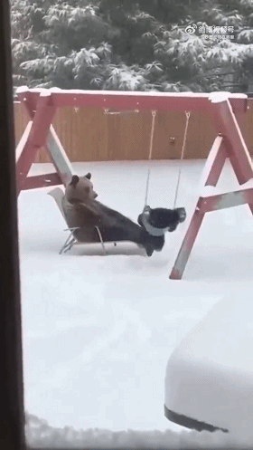 下雪天还要遛娃的痛谁懂！ 