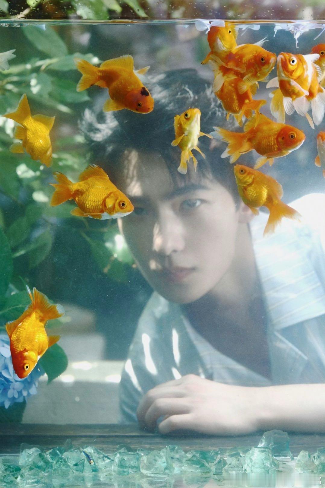 杨洋 美术课本里最有说服力的脸 我去！！原来我们小时候上美术课吃的是这种细糠，人