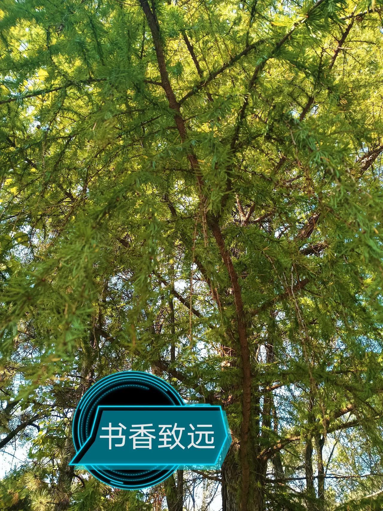 #国庆秋日游# 
#景点打卡时节# 
#秋日美景共享# 

国庆假期
市郊游
