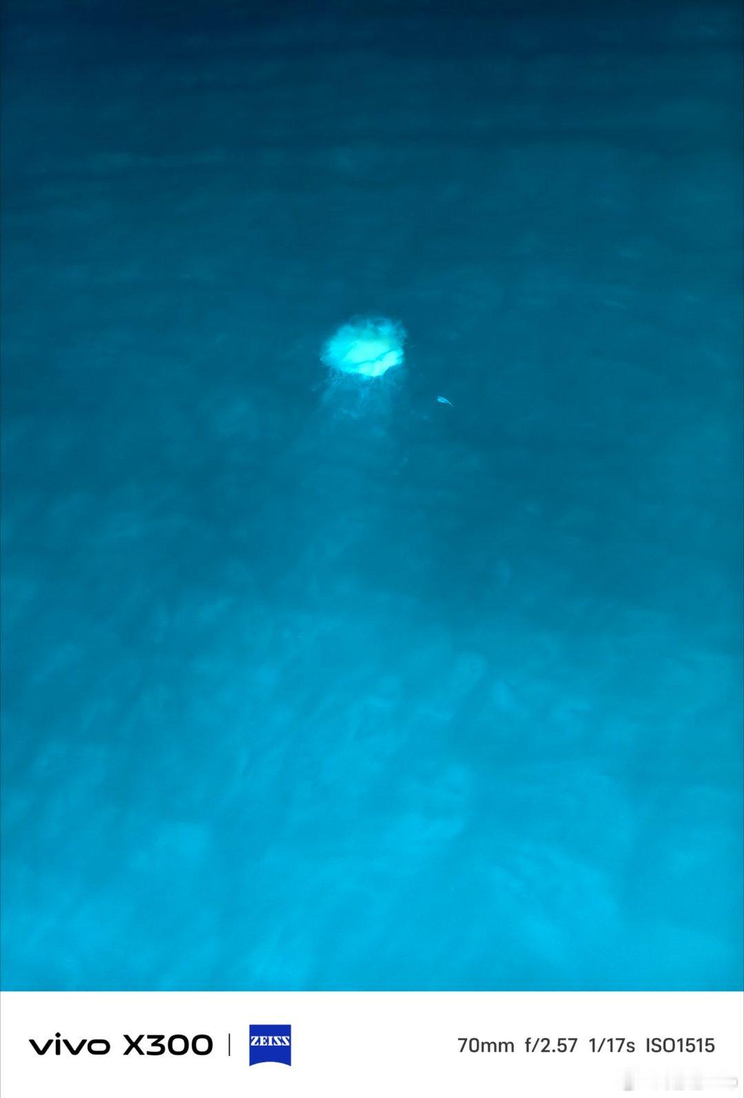 上周去钓鱼了，第一次钓鱼，看到了好多水母啊，没钓到鱼之前是真煎熬，还好钓了几只，