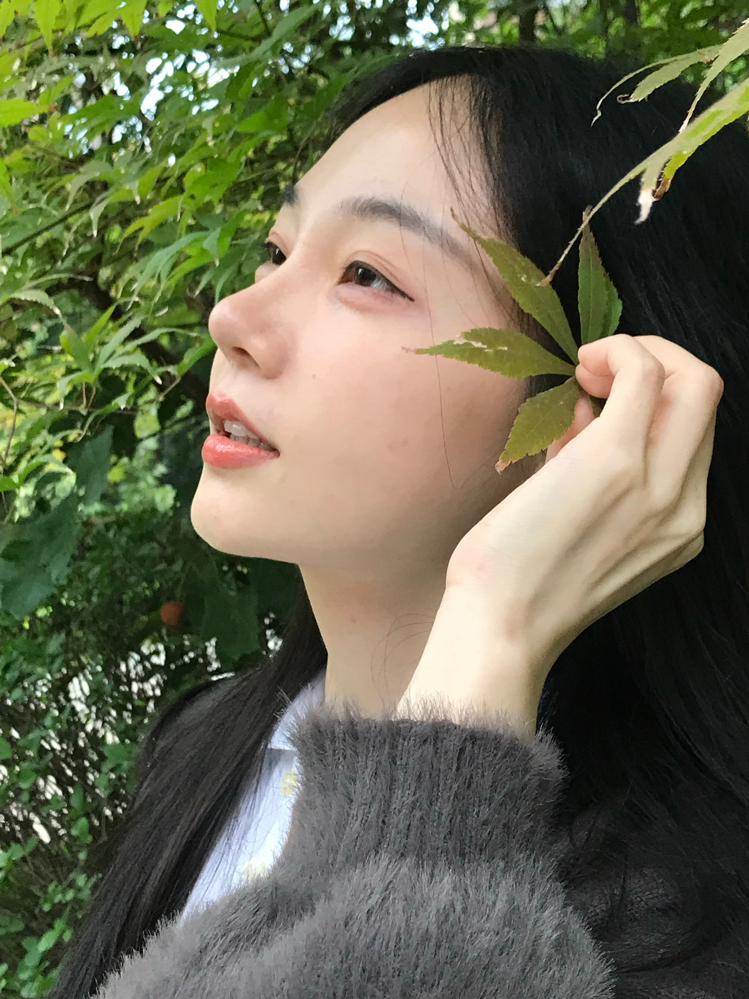 🍁 ​​​
