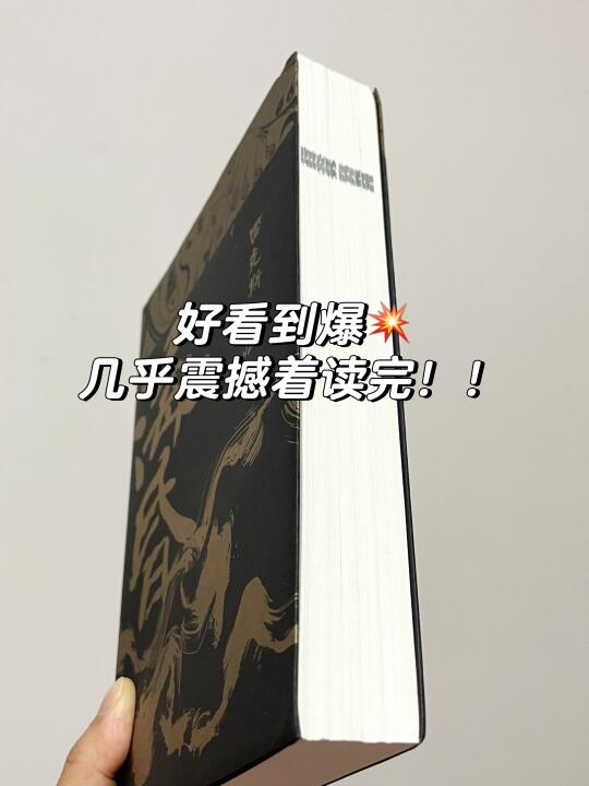 这是我今年读到蕞好看的历史悬疑小说了！！