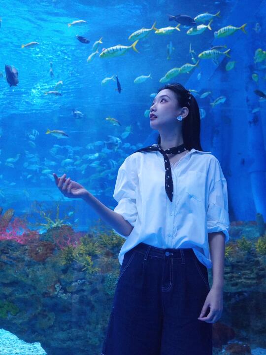 上海海昌海洋公园 | 超好玩日常攻略