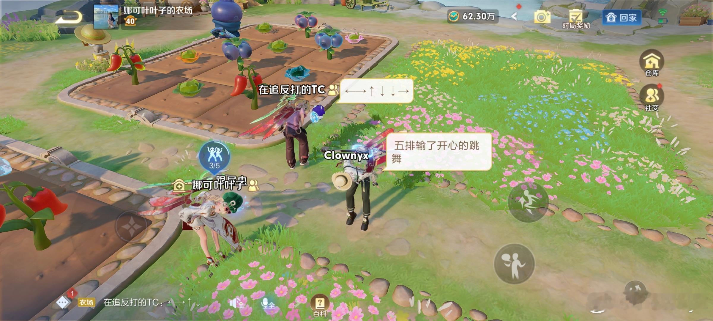 辛辛苦苦种了三个多月的胡萝卜前段时间看了朋友的共享农场，去城市郊外，包一一方田地