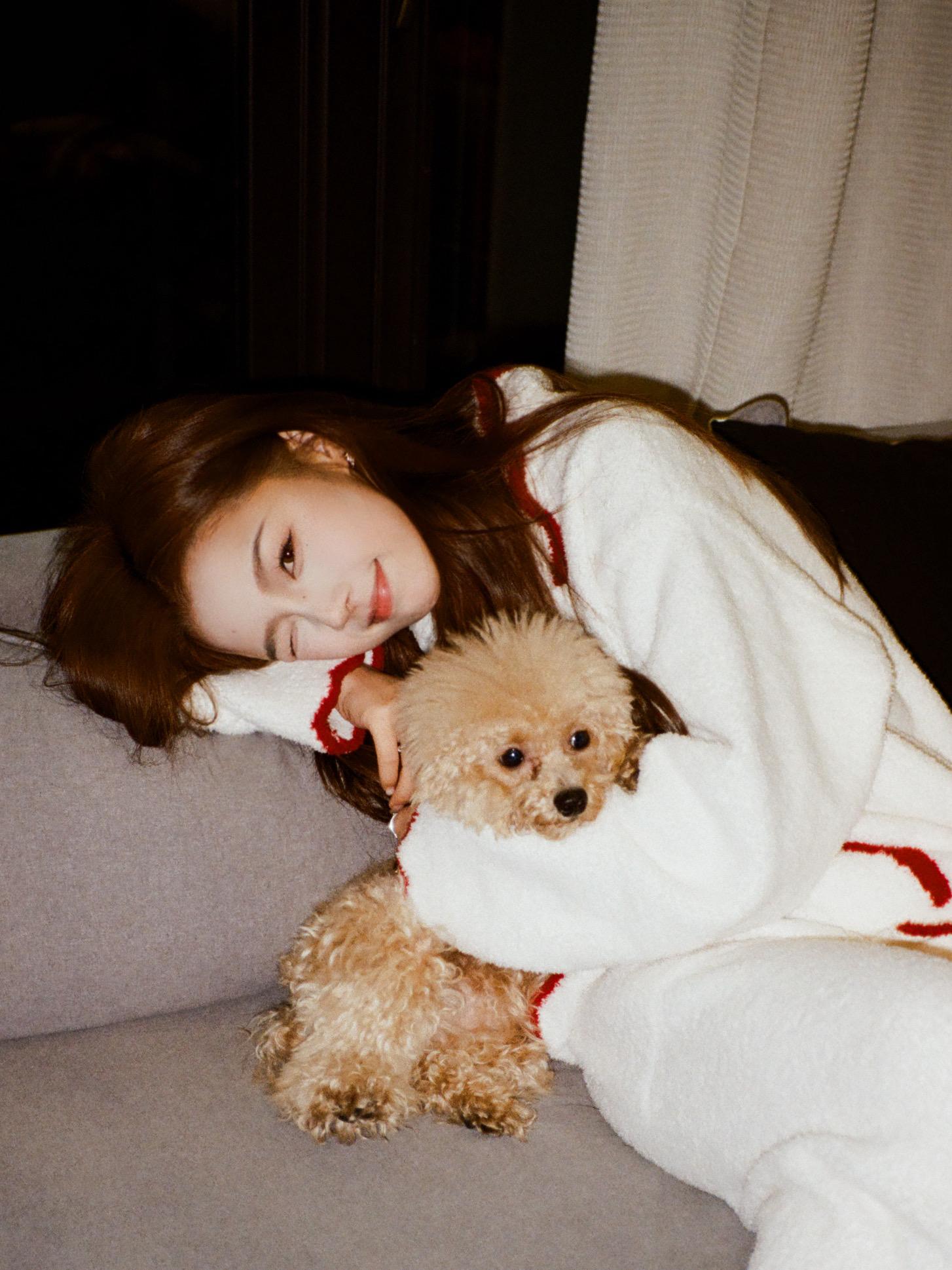 谢谢你成为了我的几分之几