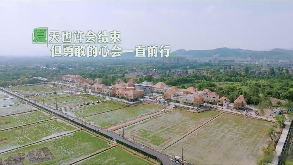 陈少熙祝所有农人土地丰饶庄稼茁壮 陈少熙的每一次出现都会让我们收获到感动和惊喜，