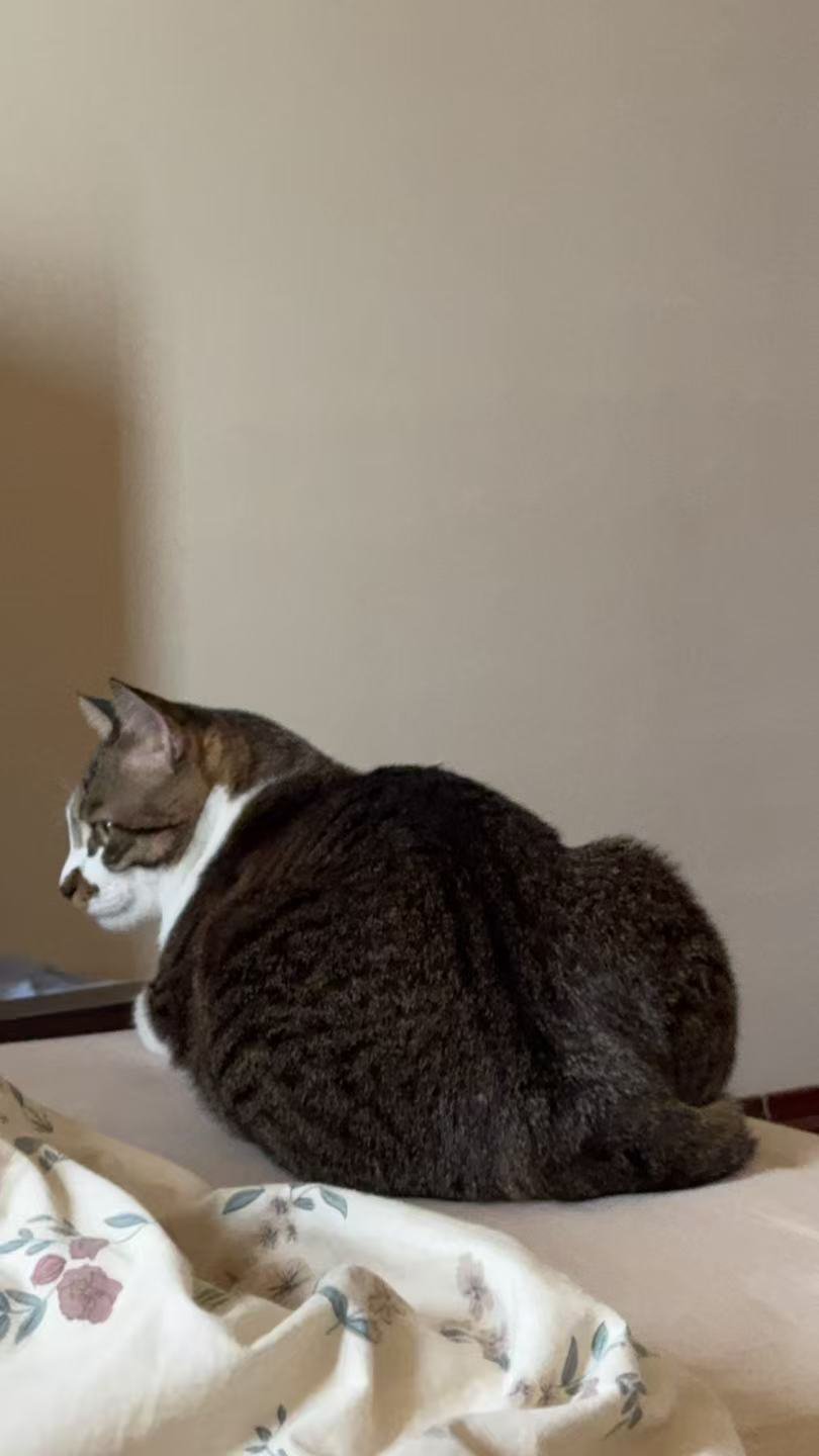 签到签到签到今天上班累累的，玉玉           