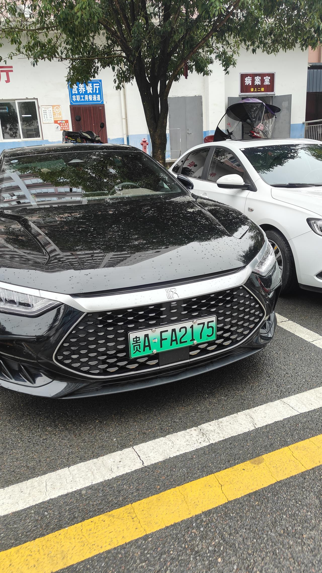 比亚迪汉是混动吗？
还是纯电车