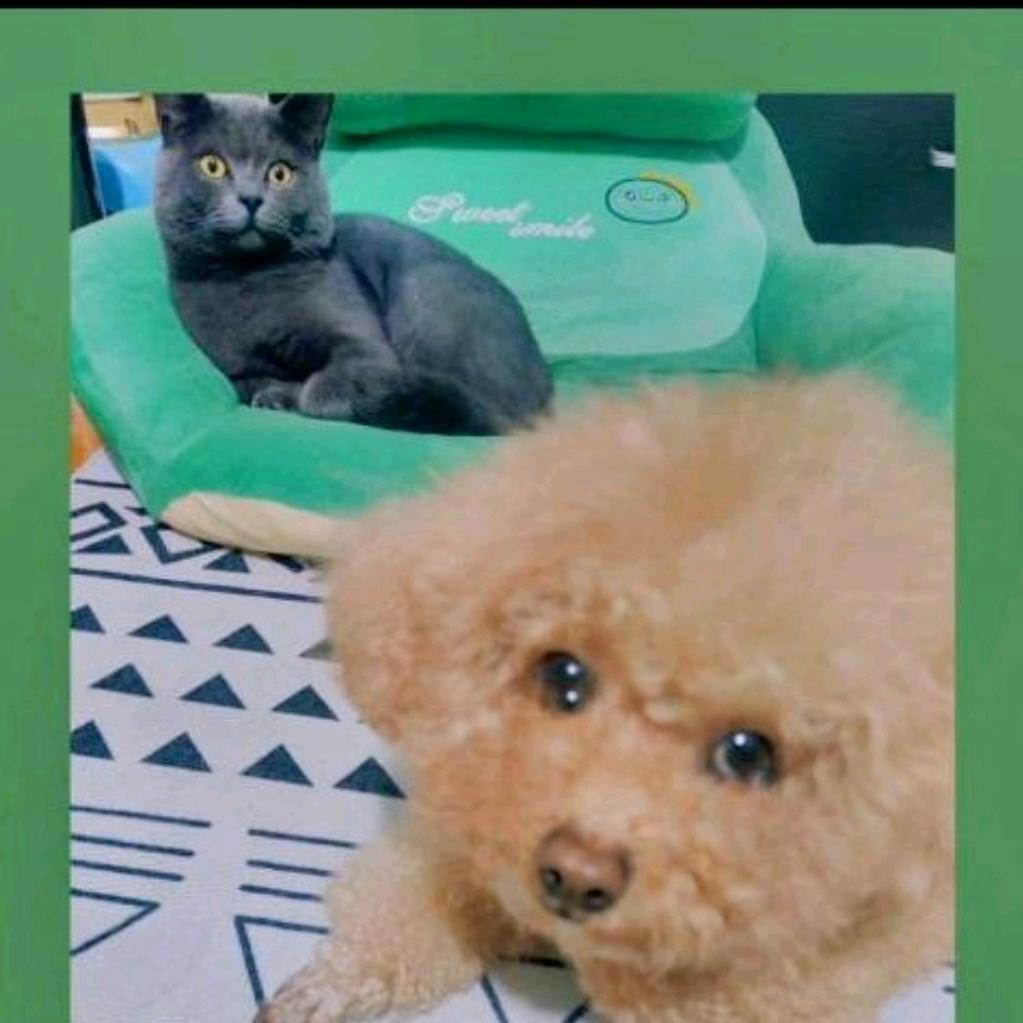王小茶和杨大壮