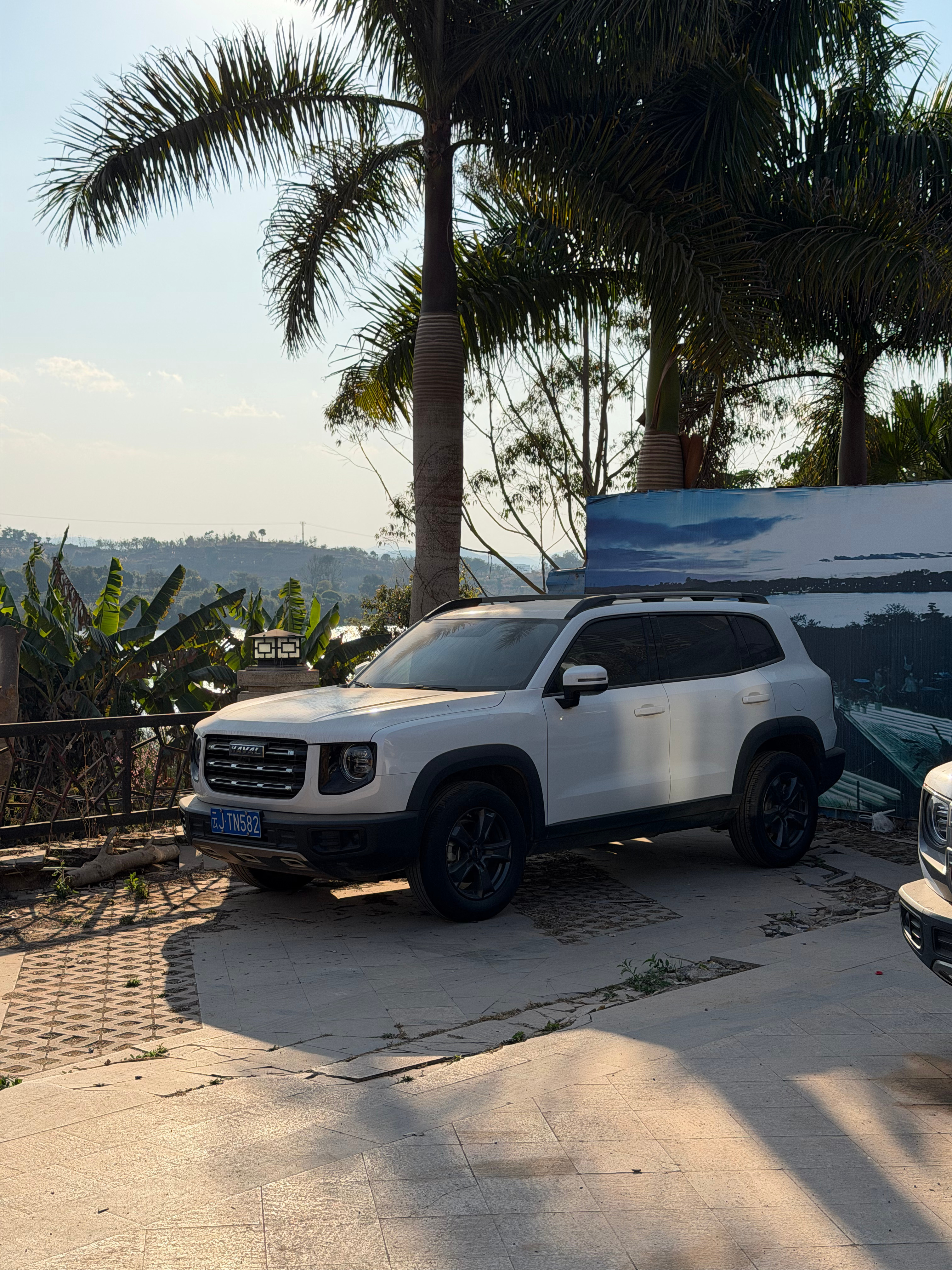 这一家子都是哈弗粉啊感觉