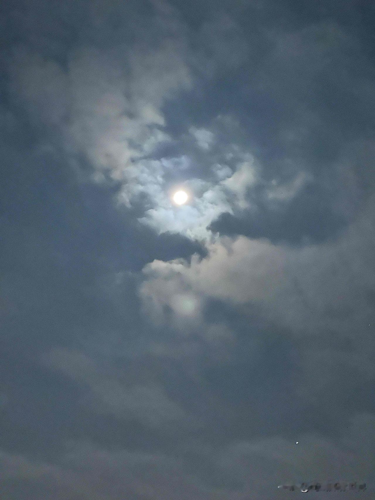 令人神往！1月5日凌晨6点钟，一个大大的圆月亮高高挂在重庆凤鸣山上……我赶紧出门