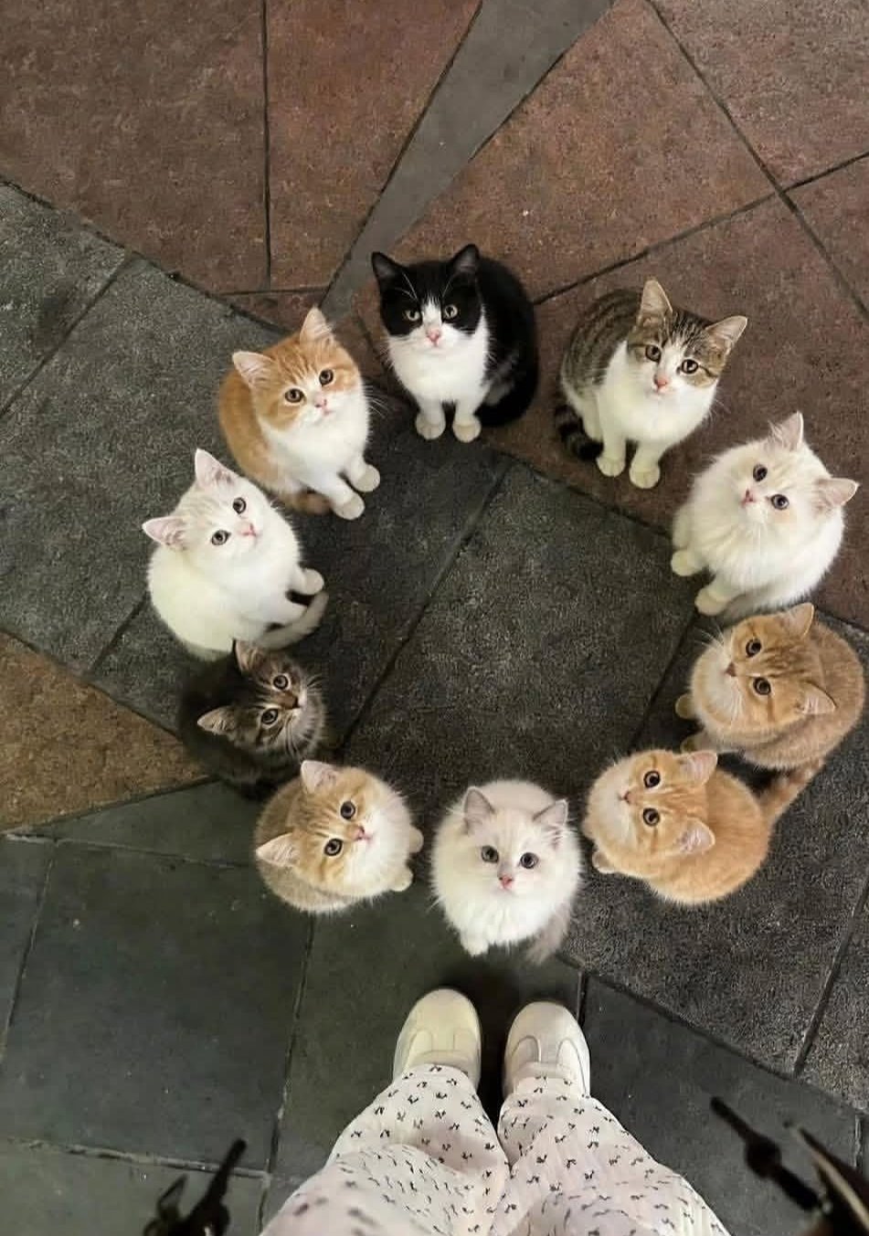 ⠀ 