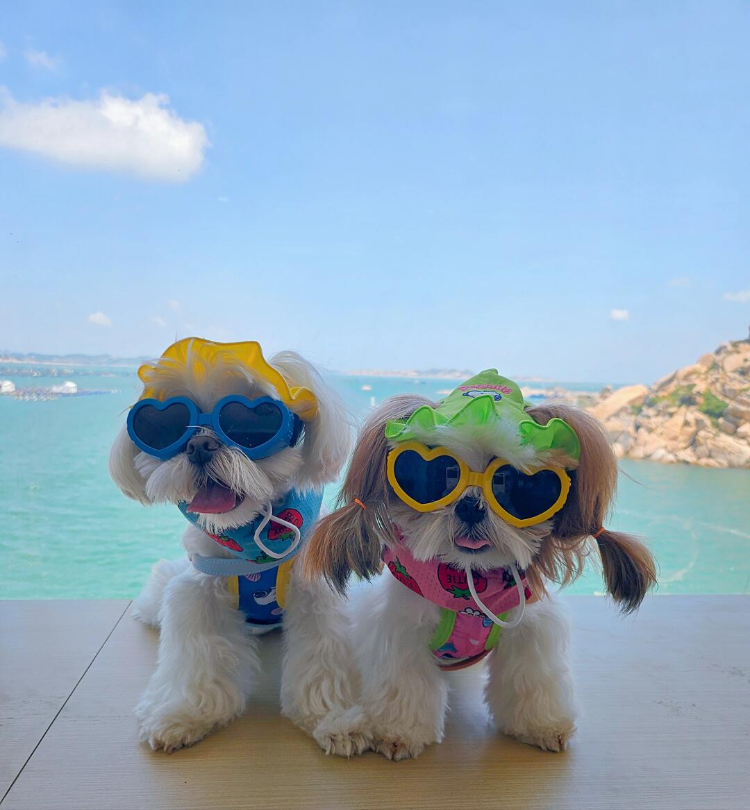 👙夏天のootd当然是狗基尼啦！