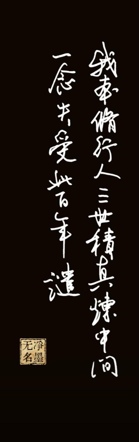 书写至道老师文中引坡公诗句