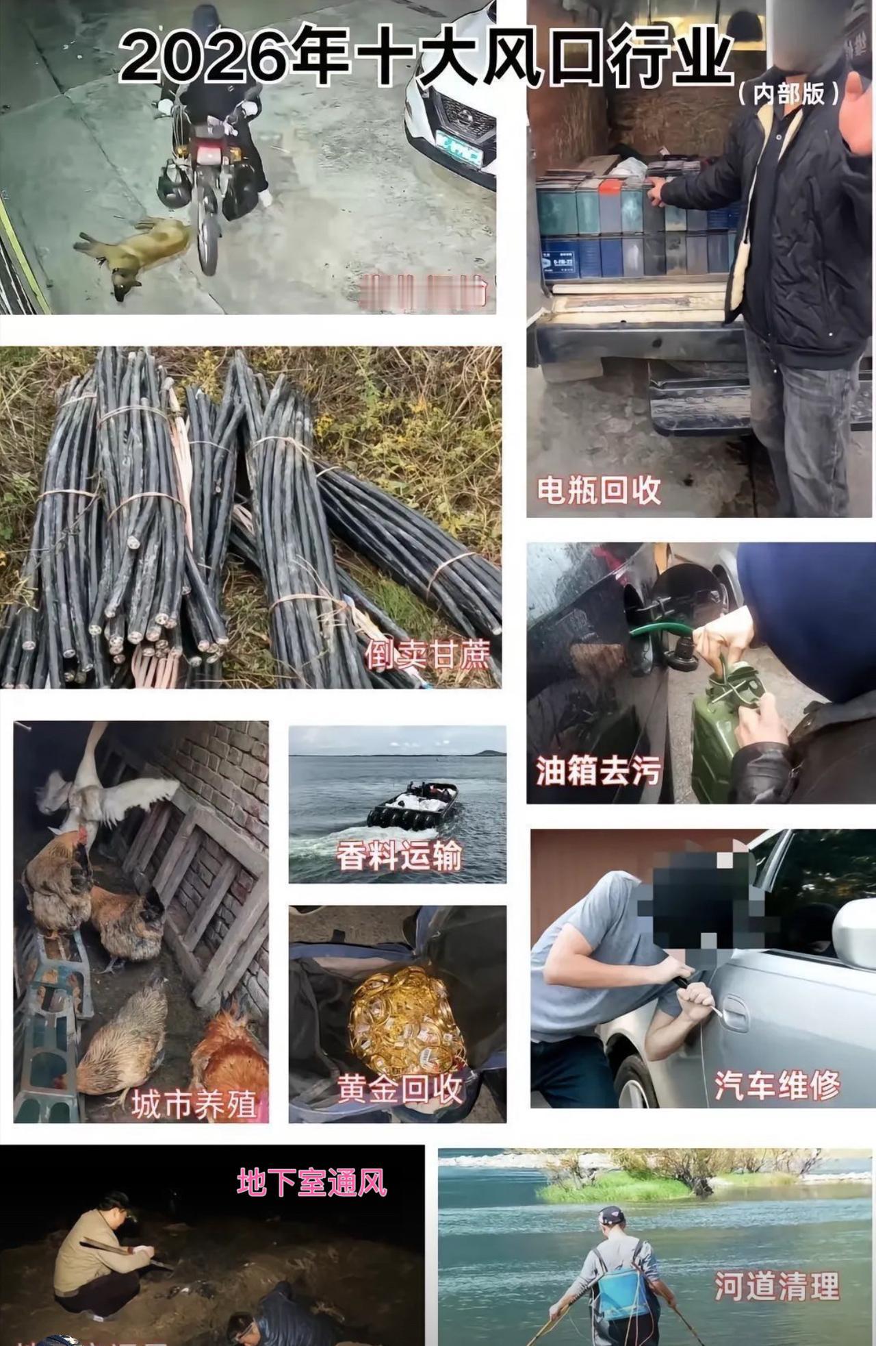 最近一张号称2026年十大风口行业内部清单在网上疯传，看着一个个高大上的行业名称