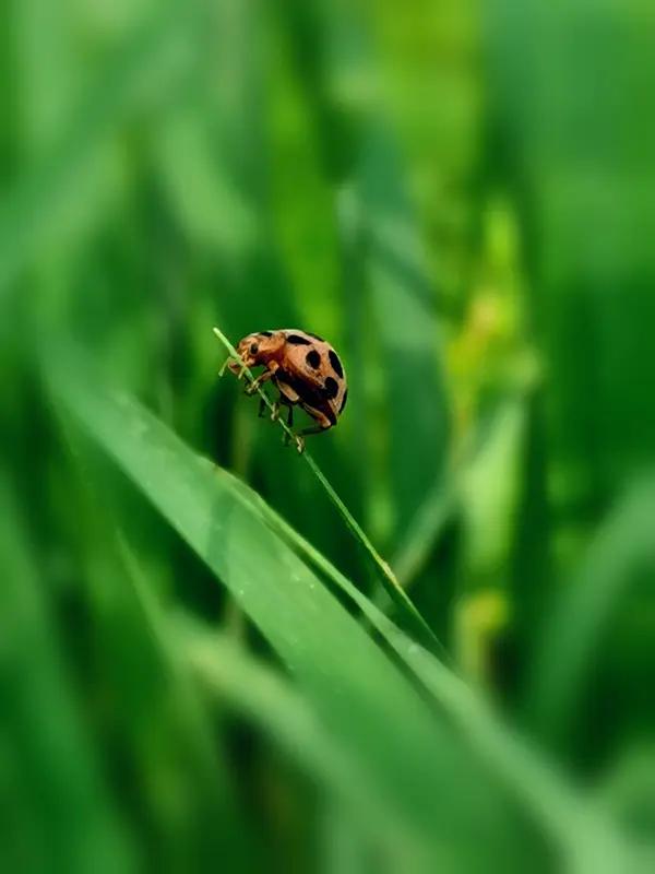 人都说万物有灵，这灵是指什么 
在“万物有灵”的观念中，“灵”一般指的是赋予万物