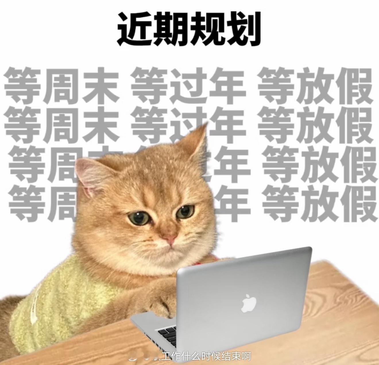 不想上班  放假倒计时4⃣️小时 