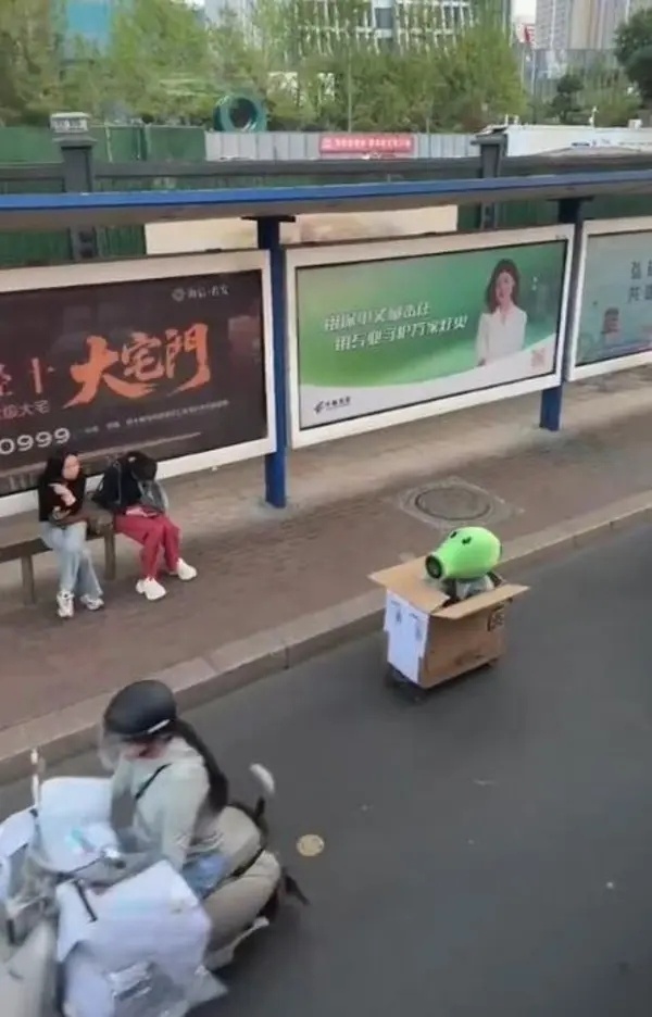 车若初见[超话] 马路上这是混进去了个啥？ ​​​