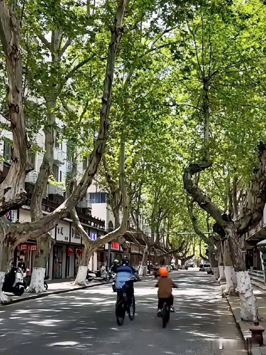 对于生于斯长于斯的70后来说，老淮阴的西大街从来不只是西大街。它是我们这一代人的