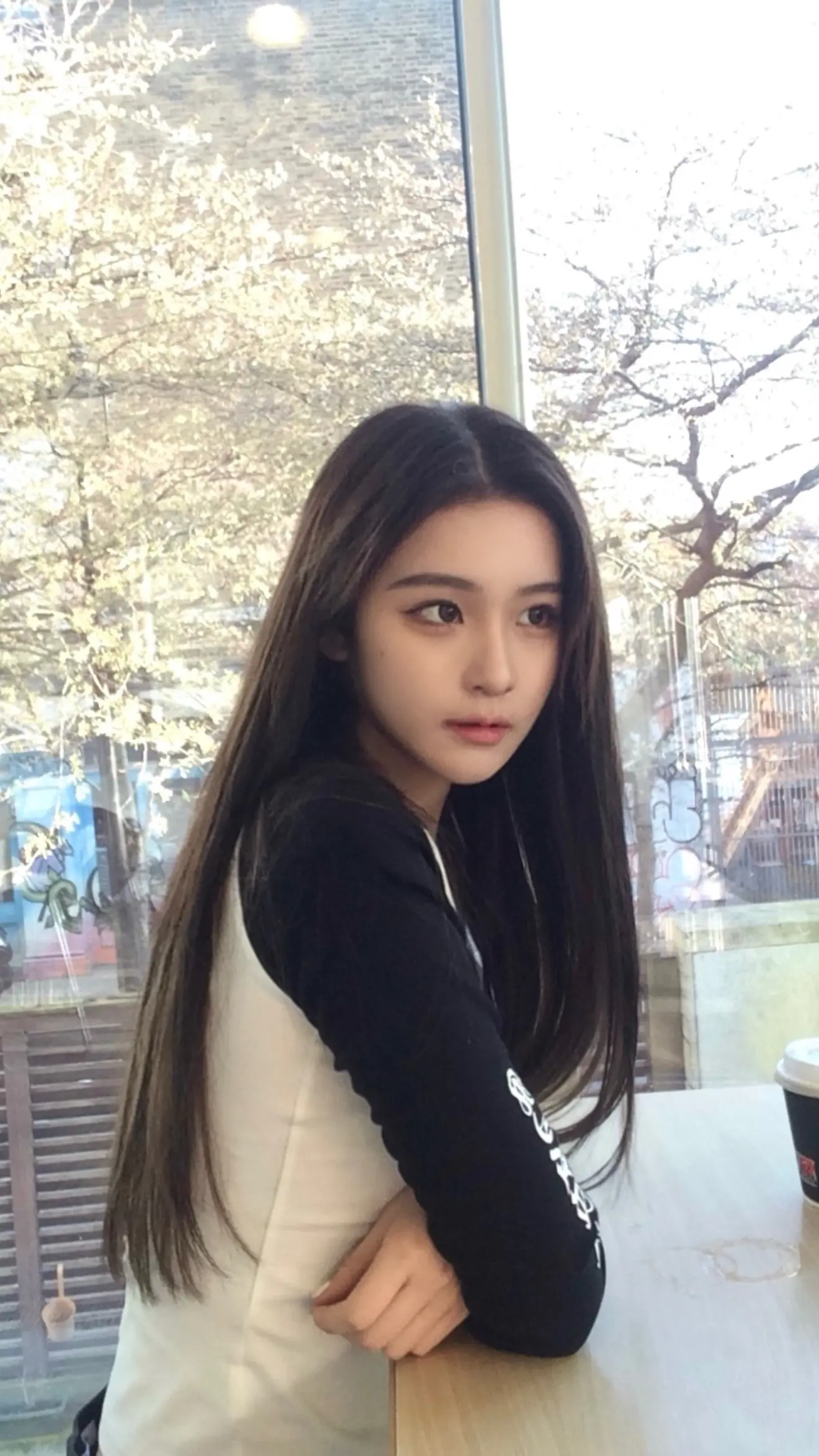 近照