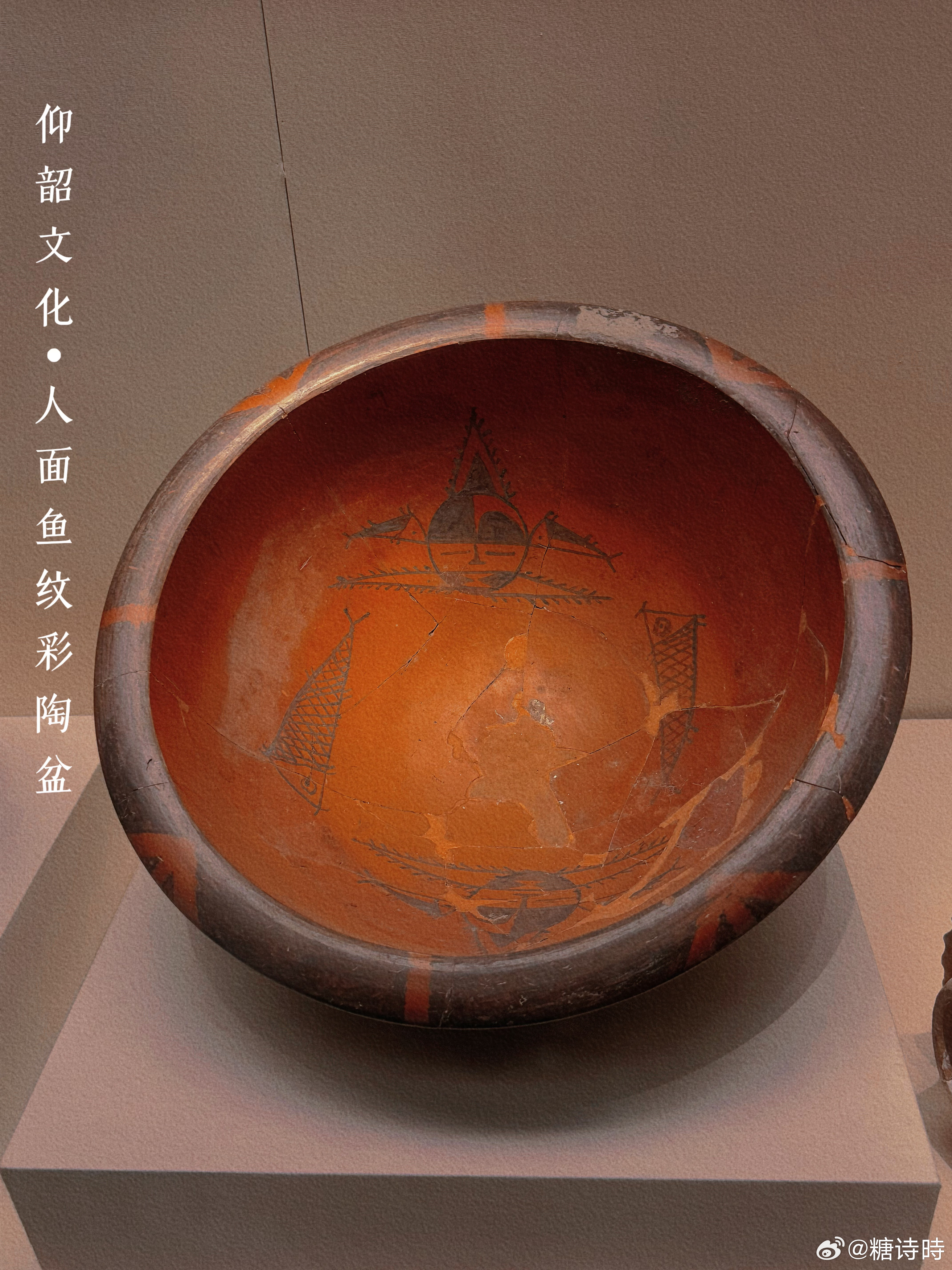 📍图1-图6距今千年的仰韶文化更是属于禁止出境的文物哦，当你站在玻璃窗前看着它