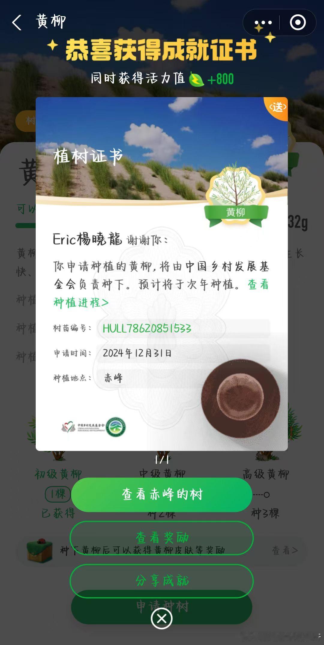 2025年继续种🌲，动物保护，植树造林，新公益，新理念，新公益形式很多，运动捐