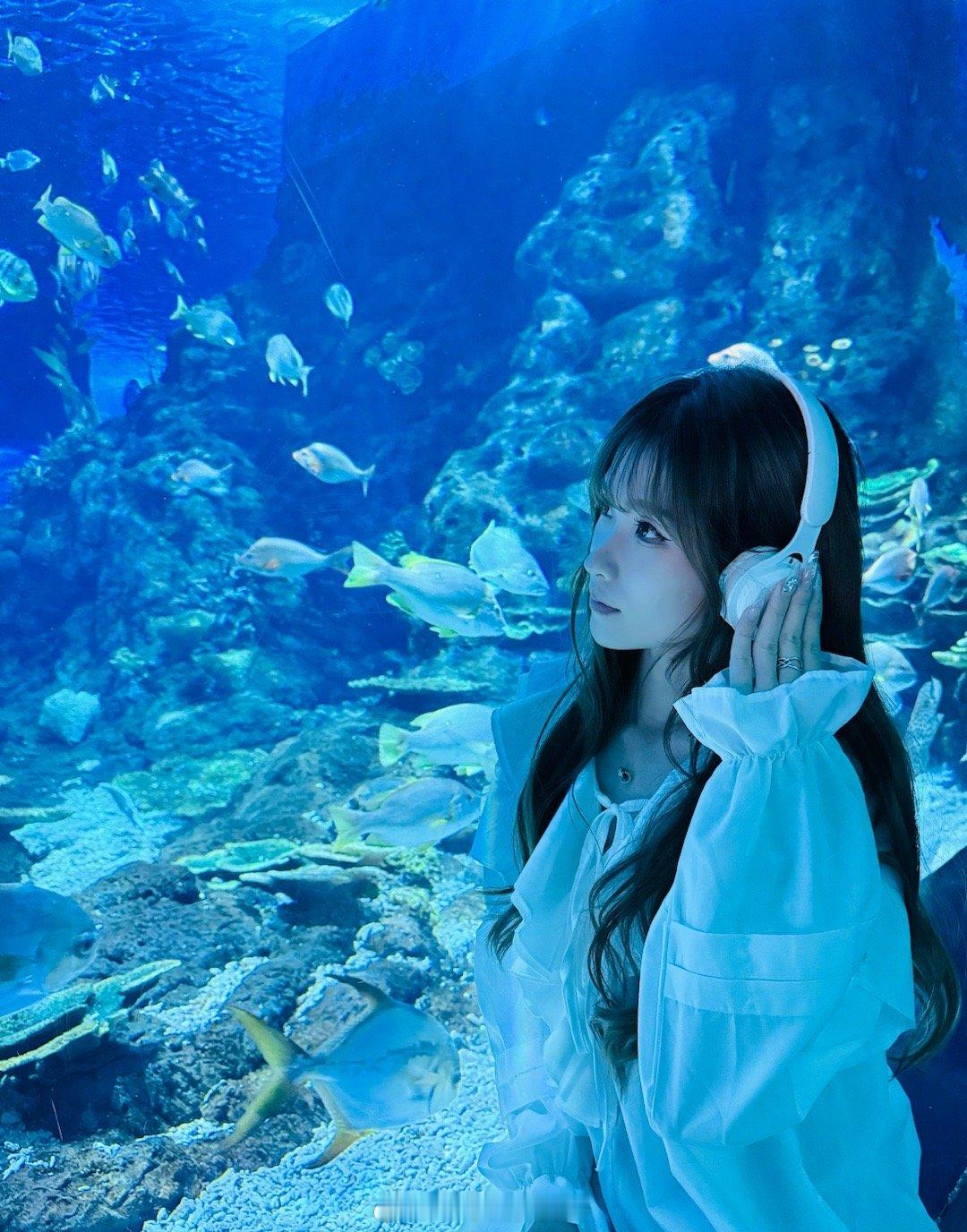 闯入蓝色童话世界  ​​​