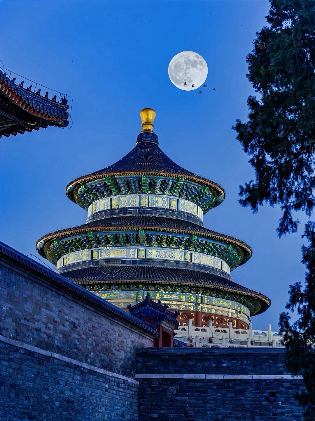 场外不急着入场，起码等机构调仓之后再下计划。春季都是机构调仓周期，去年也是大规模