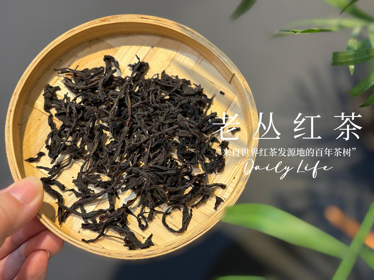 超市里几块钱一盒的茶叶，真的能赚钱吗？
商家做生意不会做亏本买卖，更不可能做慈善