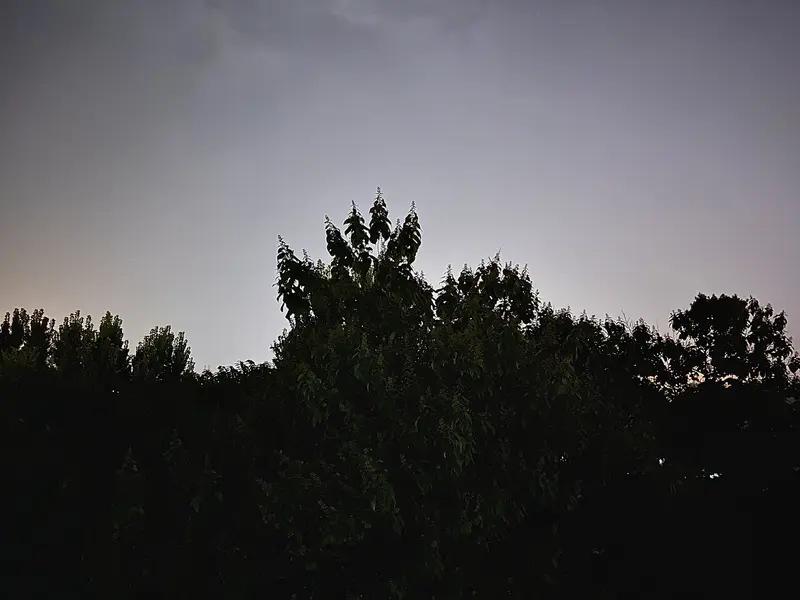 生活中，总有人爱对你的生活指指点点。你努力上进，有人说你野心勃勃；你善良温和，有